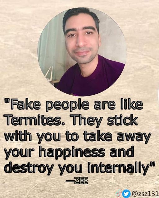 Zeeshan Siddique Quotes